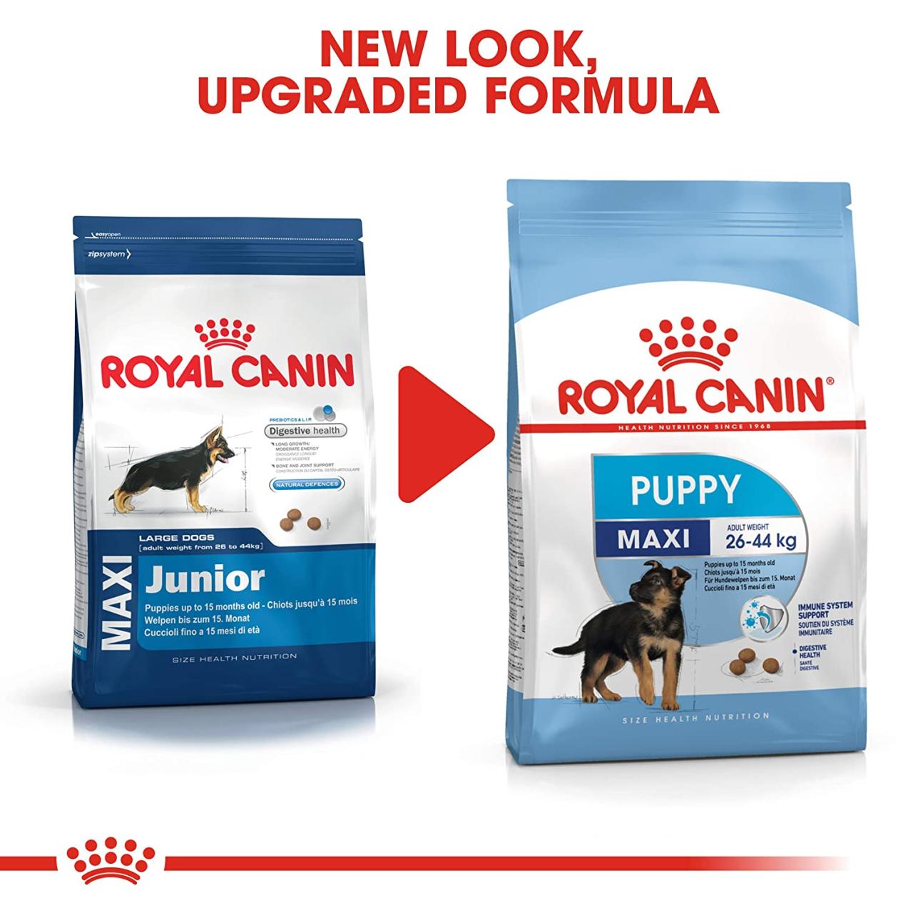 Royal Canin Maxi Puppy Dry Dog Food, at whoof-whoof.com Royal canin 8 maxi