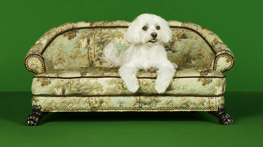 Premium Photo | Luxury pet dog Luxury pet shop